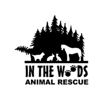 In The Woods Animal Rescue